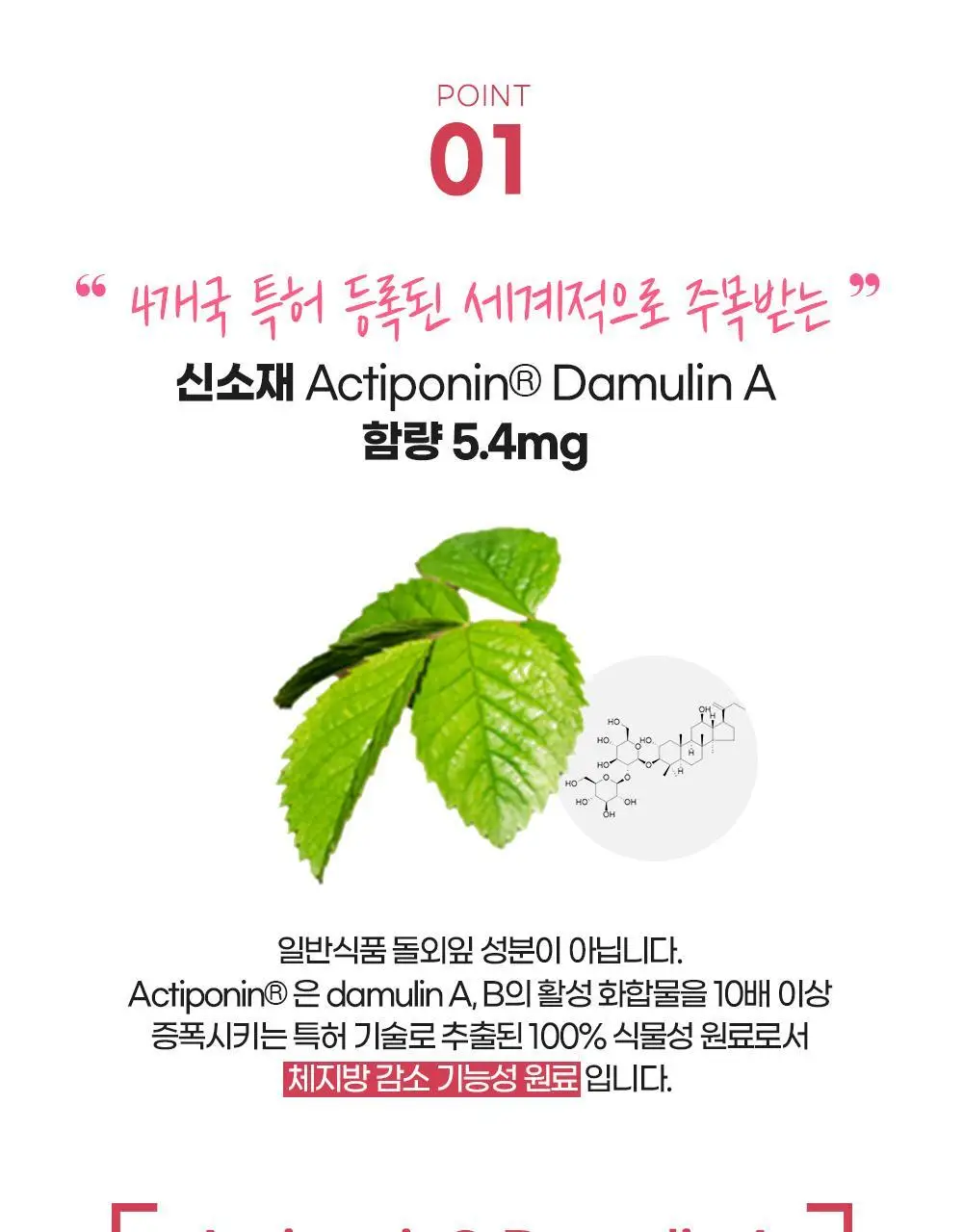 [권은비Pick] 딥트3일 30일버닝 피치(맛)번 30정 상세페이지 17